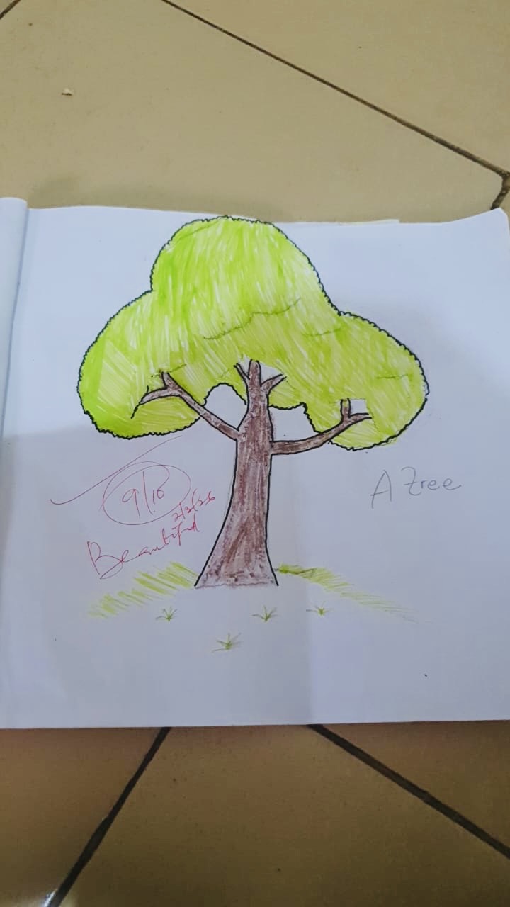 Idehen osayemwenre Fedora  Artwork